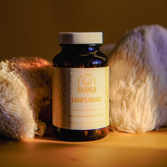 Lion's Mane capsules