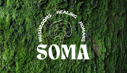 Darilna kartica Soma Mushrooms