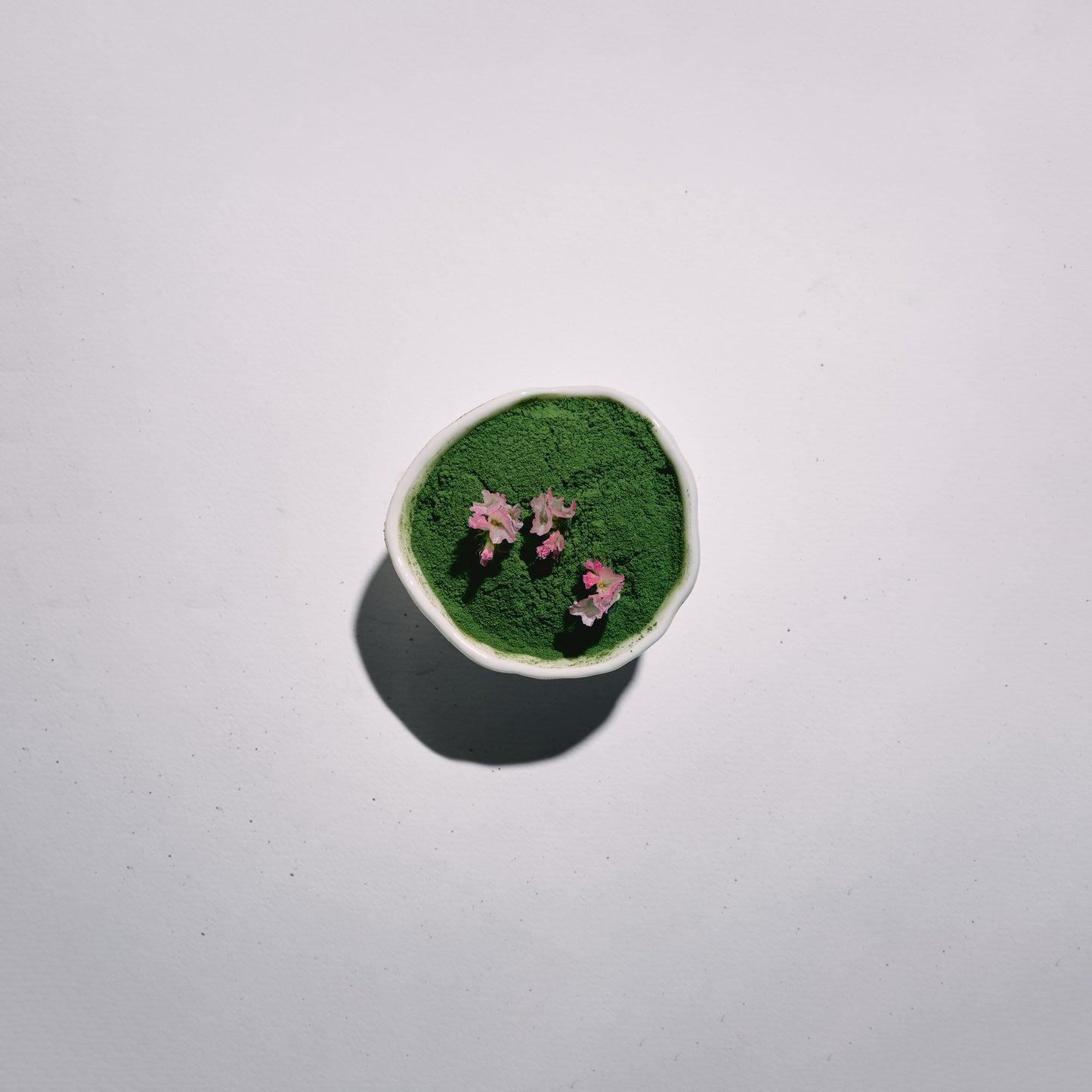 Small round container with green matcha and pink flowers on a white background