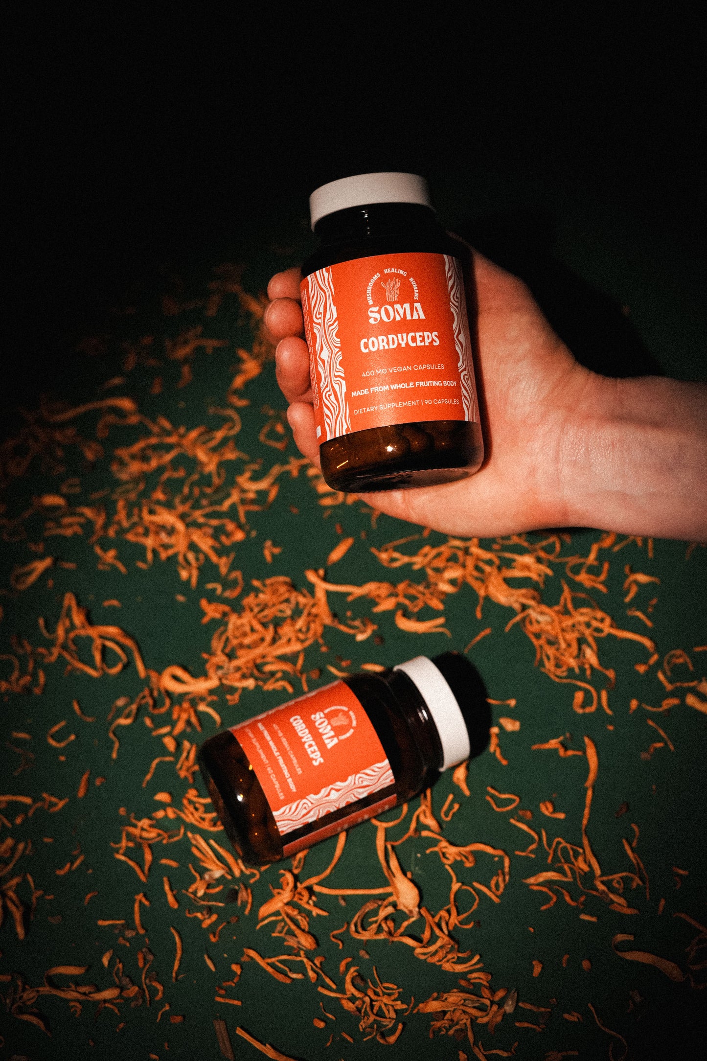 Cordyceps capsules