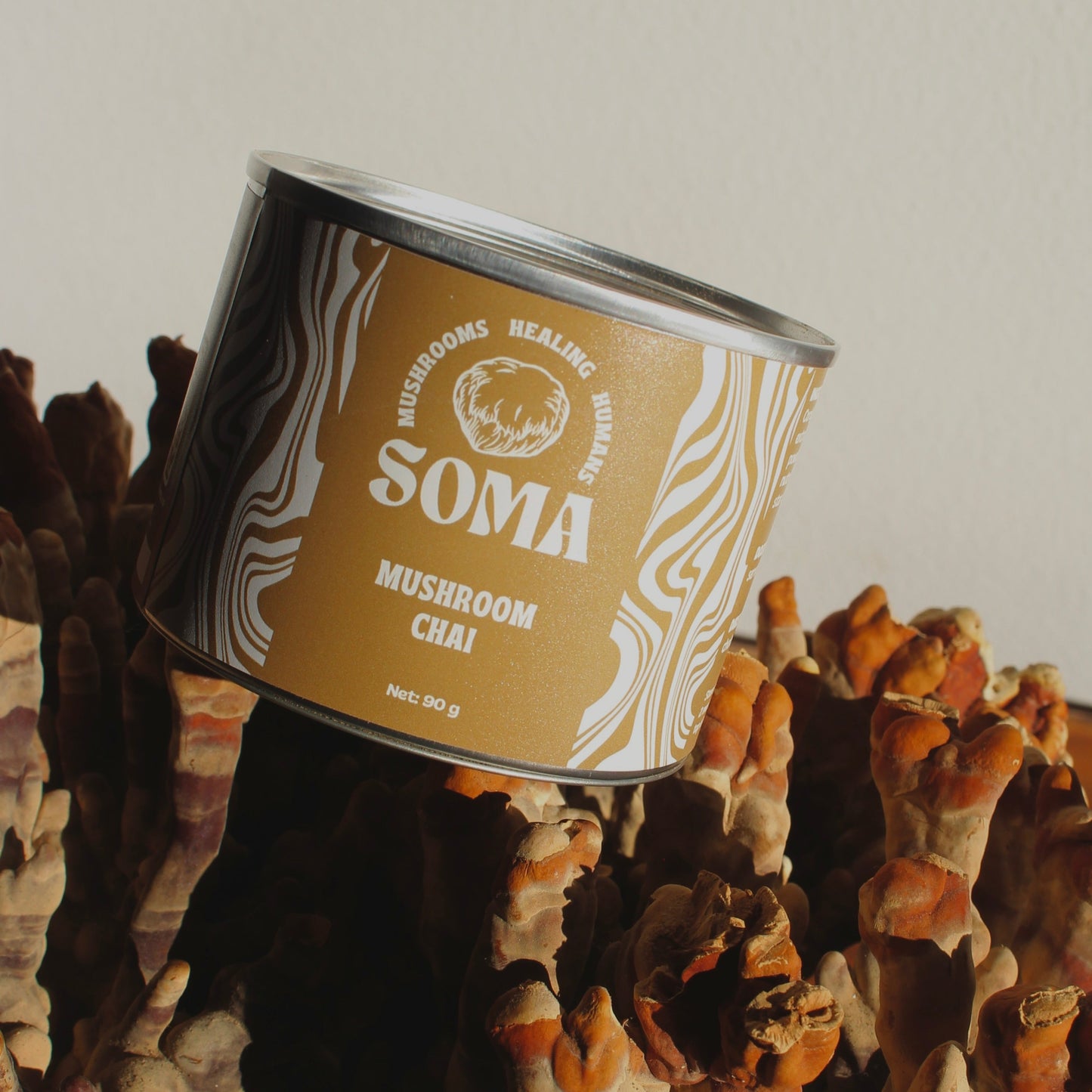 3 Mushroom Masala Chai