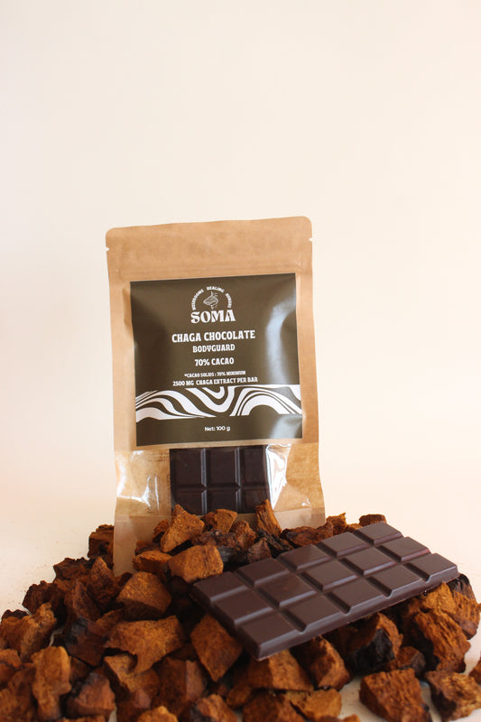 Chaga chocolate bars