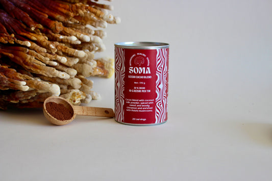 Reishi cacao
