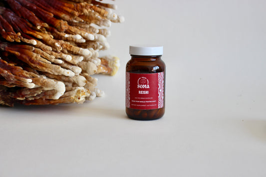 Reishi capsules