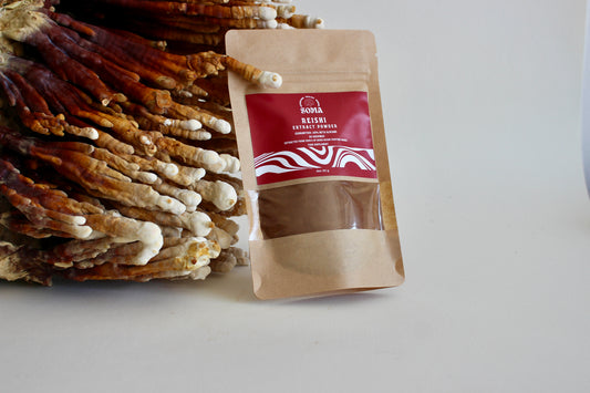 Reishi extract powder