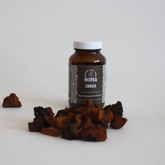 Chaga capsules