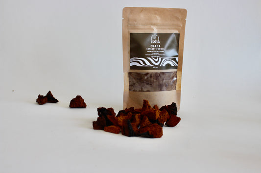 Chaga extract powder