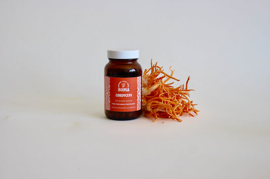 Cordyceps capsules