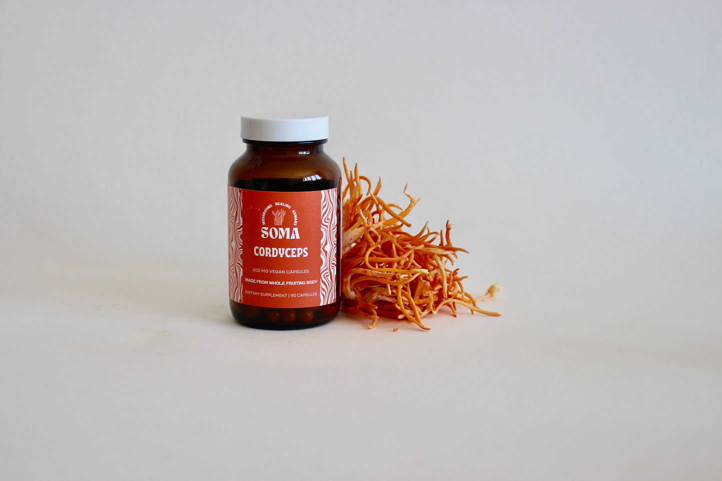 Cordyceps capsules