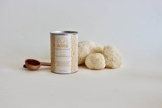 Lion's Mane cacao
