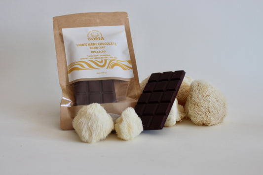 Lion's Mane chocolate bars