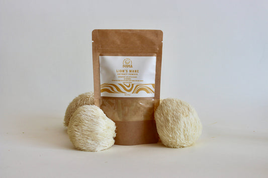 Lion's Mane extract powder
