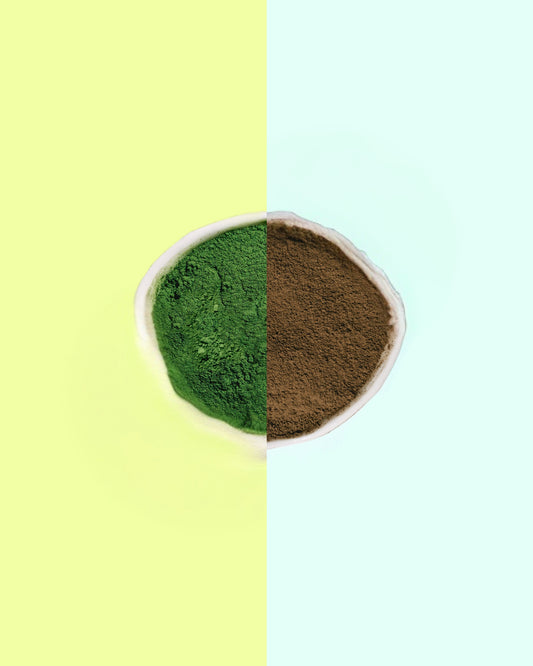 Matcha and hojicha powders side by side in one bowl