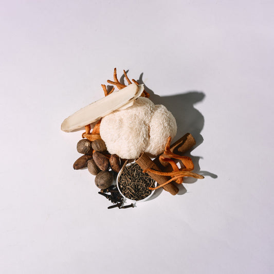 The Complete Guide to Functional Mushrooms