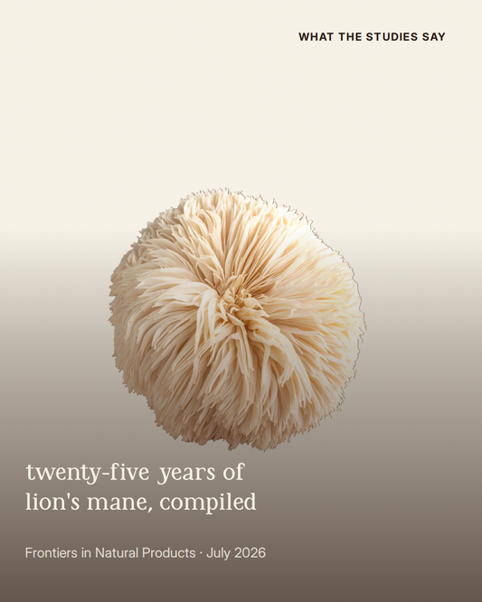 Twenty-Five Years of Lion's Mane, Compiled