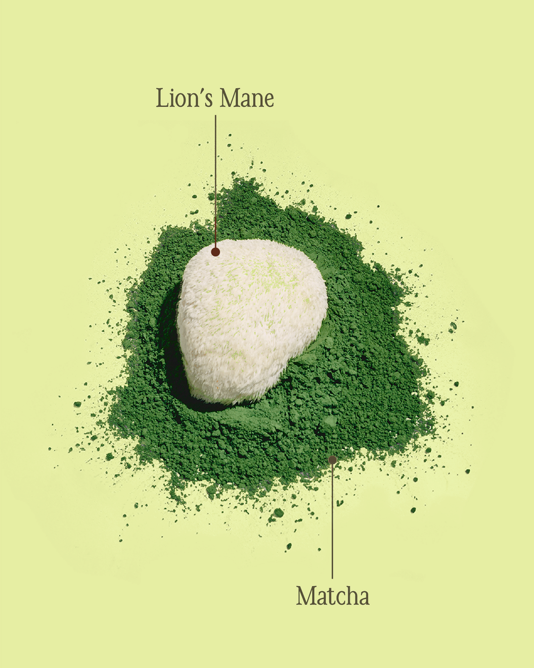 A bowl of matcha whisked for the Lion's Mane Matcha bundle ritual