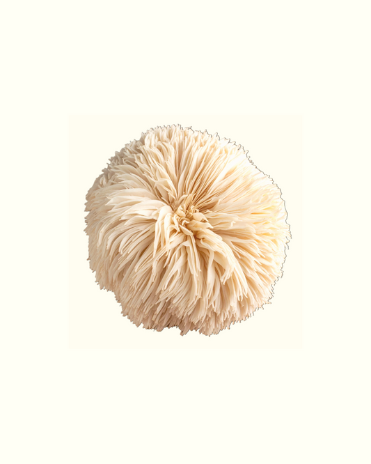 What Is Lion’s Mane? (And Why People Add It to Focus Rituals)