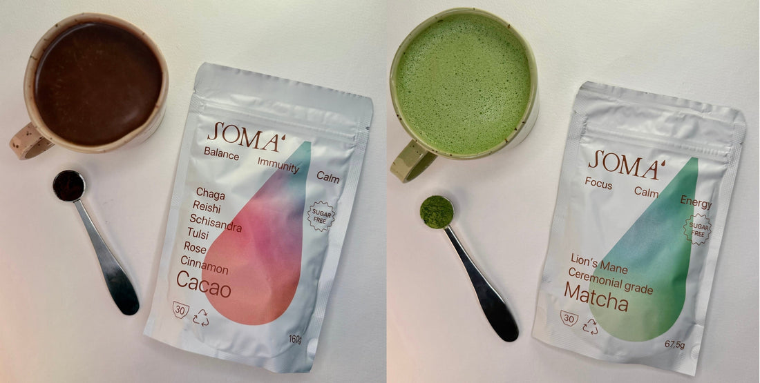 Matcha vs Mushroom Cacao: Which Ritual Fits Your Day?