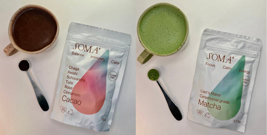 Matcha vs Mushroom Cacao: Which Ritual Fits Your Day?