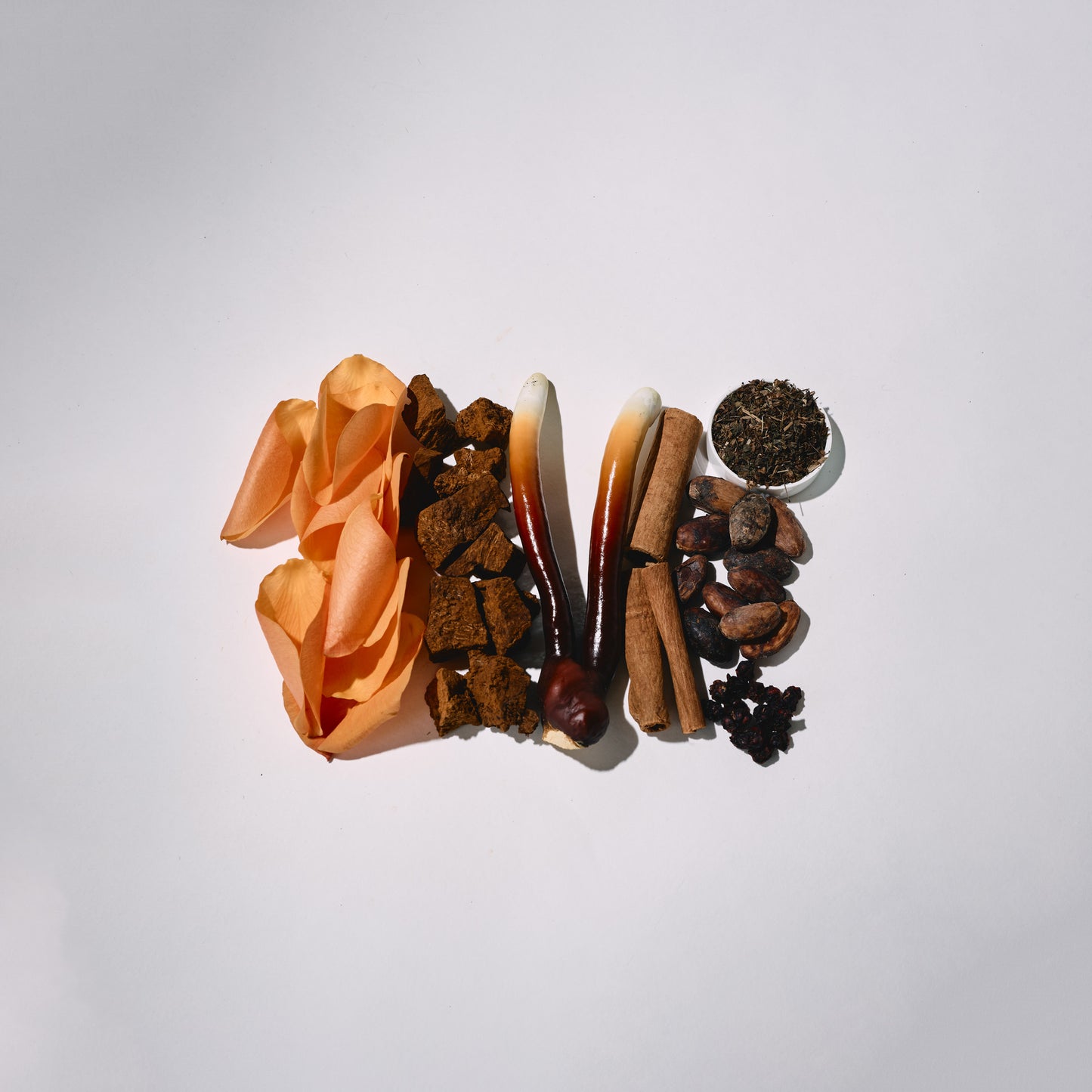 Reishi mushroooms, Chaga mushrooms, rose petals and dry spices and herbs arranged on a white background.