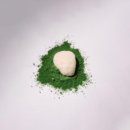 Lion's mane mushroom on a bed of green matcha against a light gray background