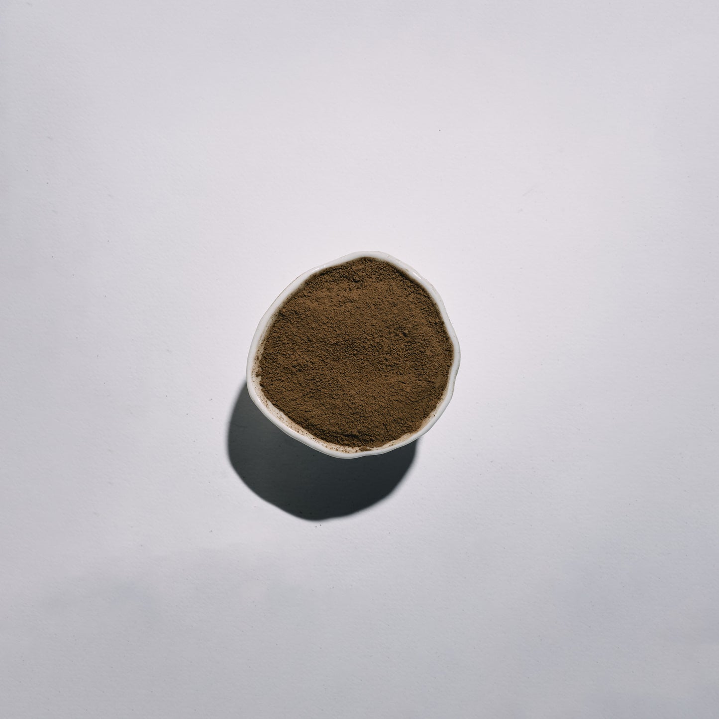 Small white container with dark brown hojicha powder on a light gray background