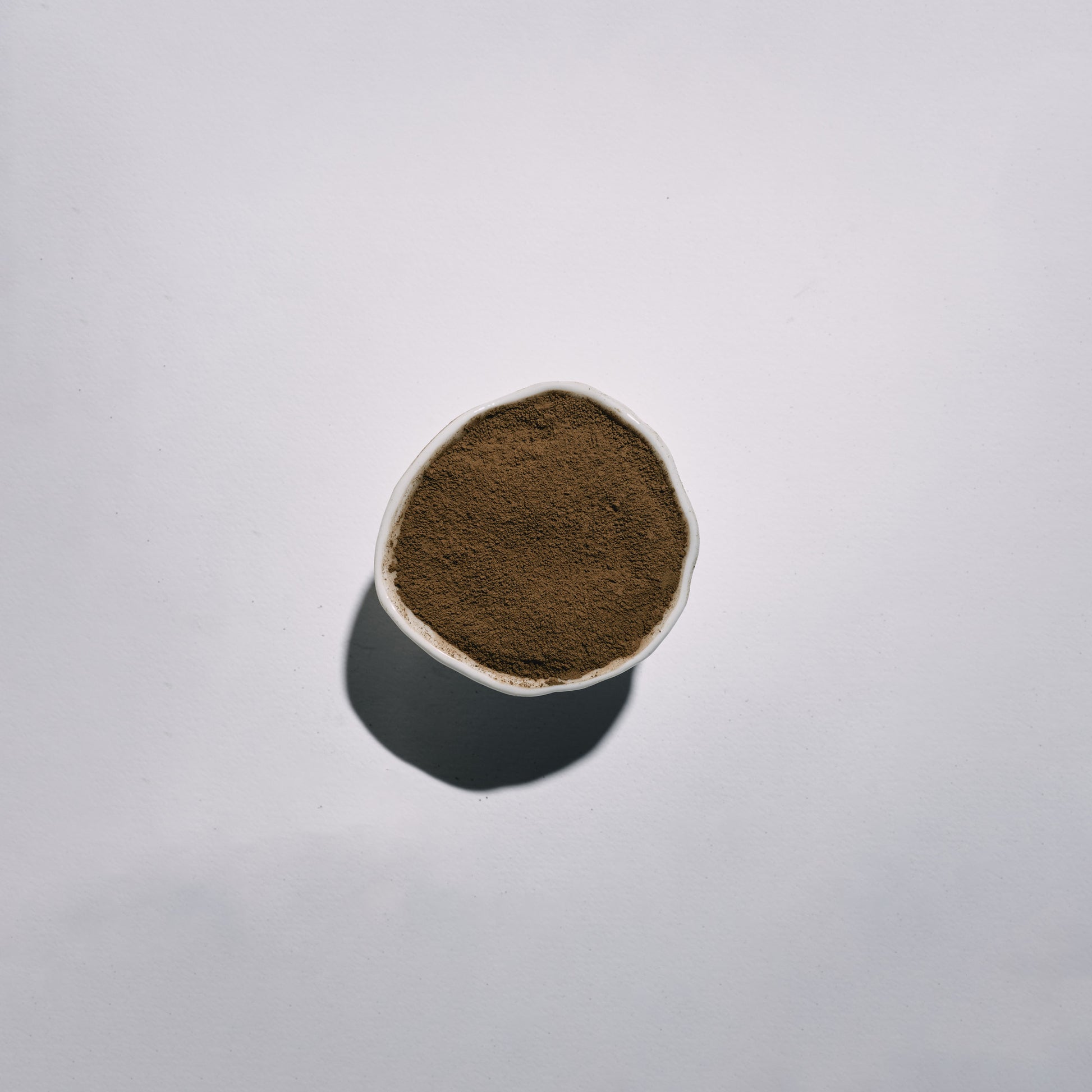 Small white container with dark brown hojicha powder on a light gray background