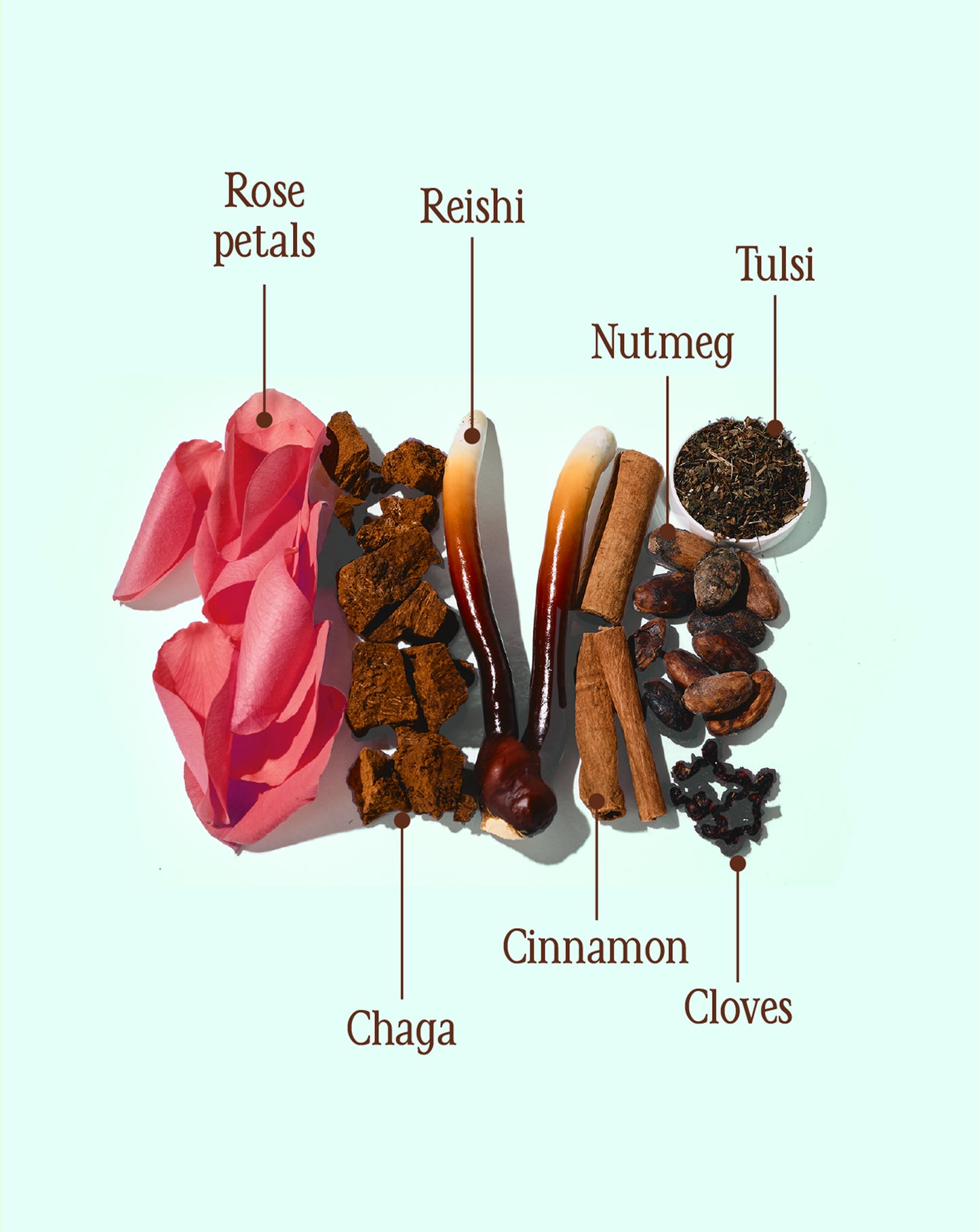 Cacao ☾