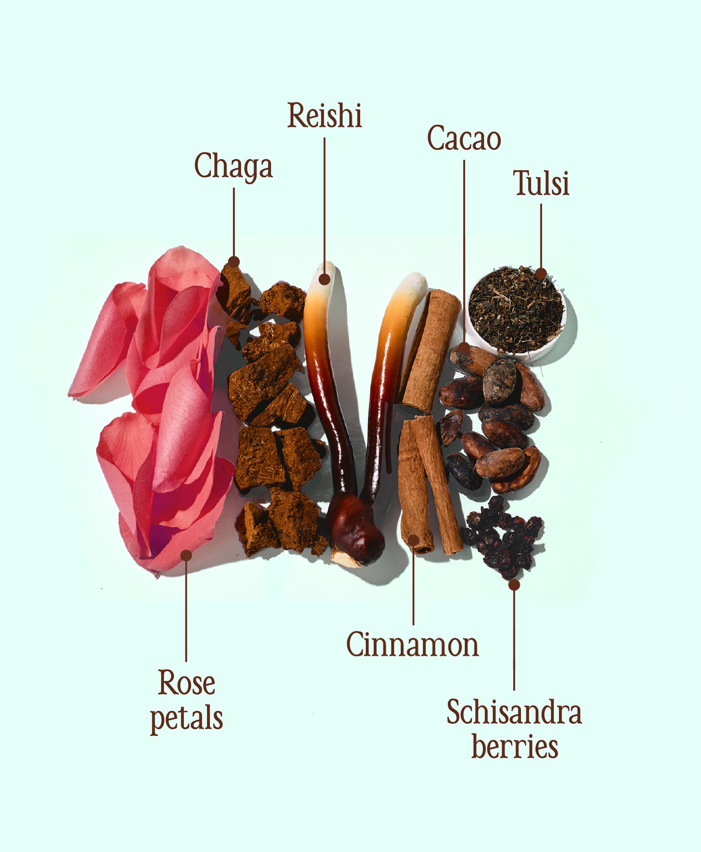 Cacao ☾