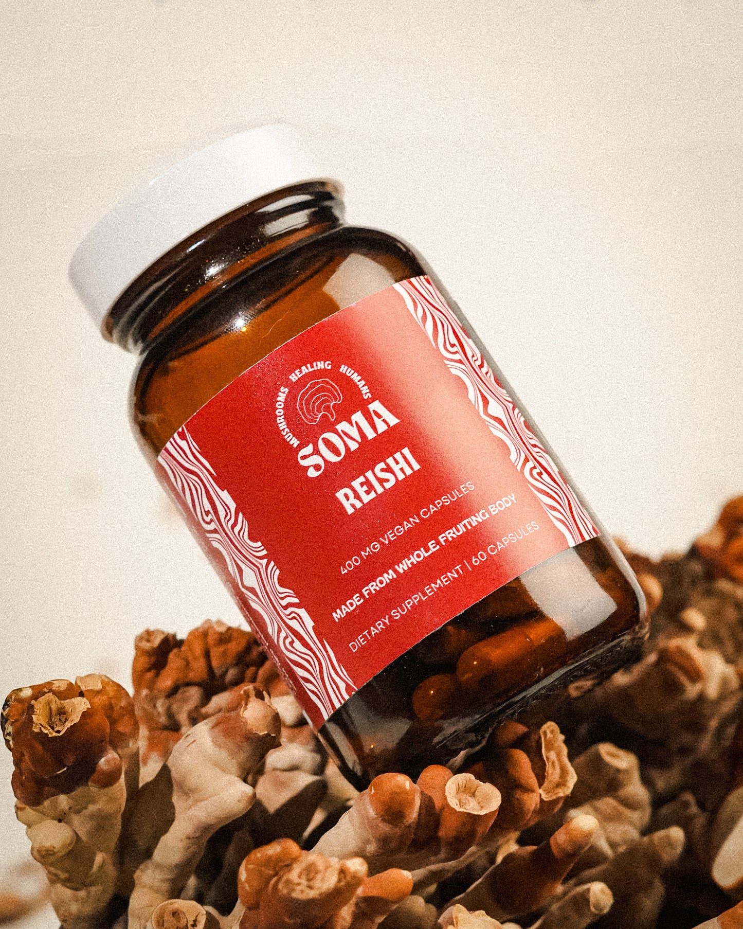 Reishi capsules