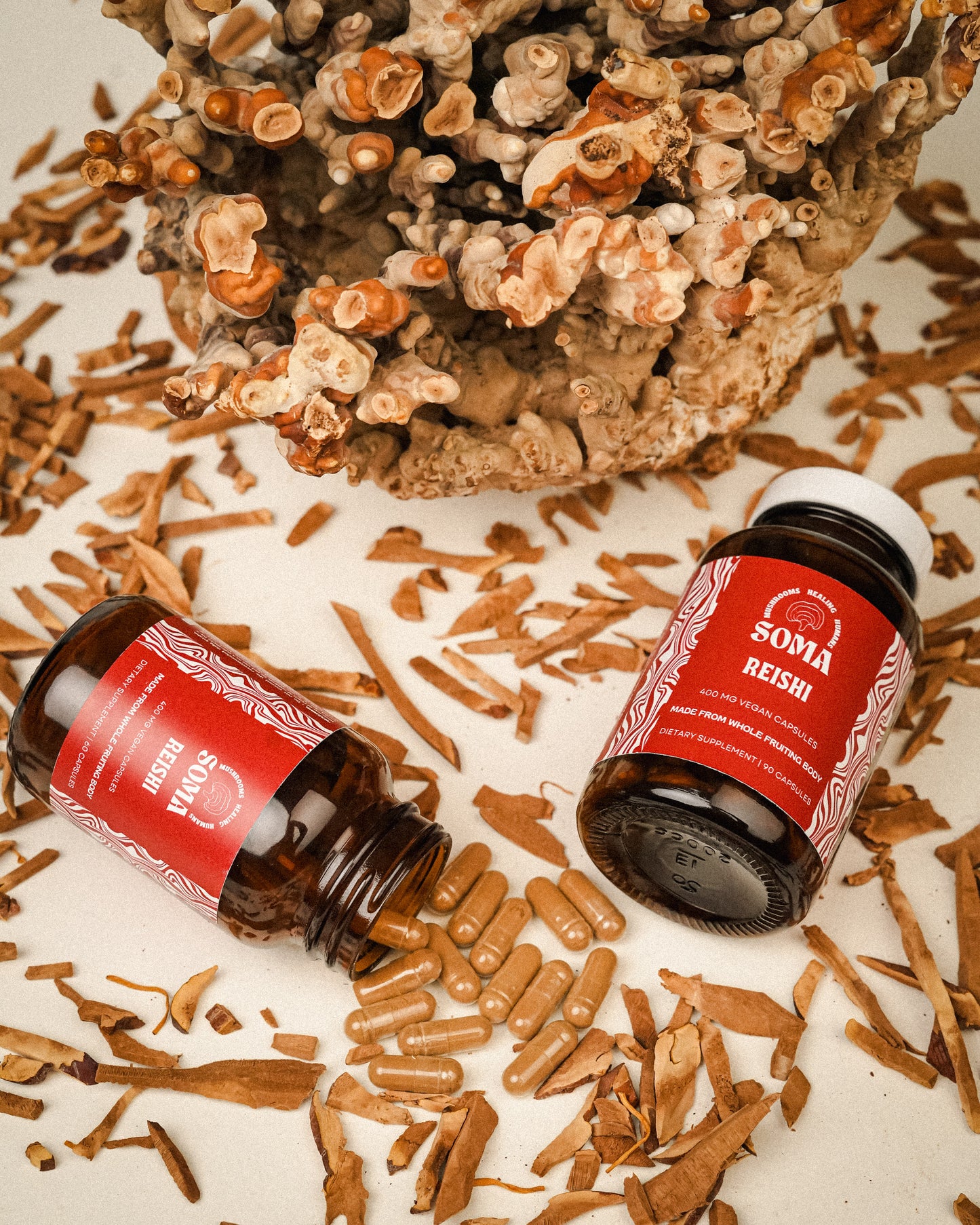 Reishi capsules