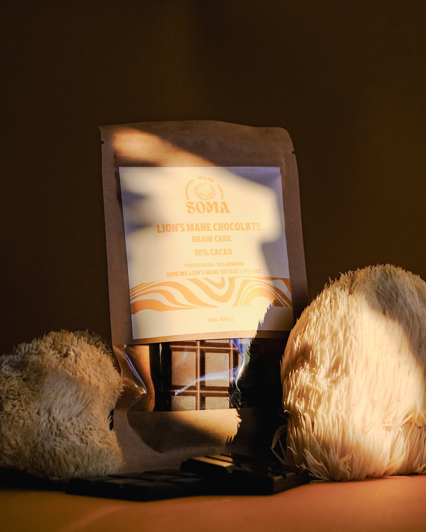 Lion's Mane chocolate bars