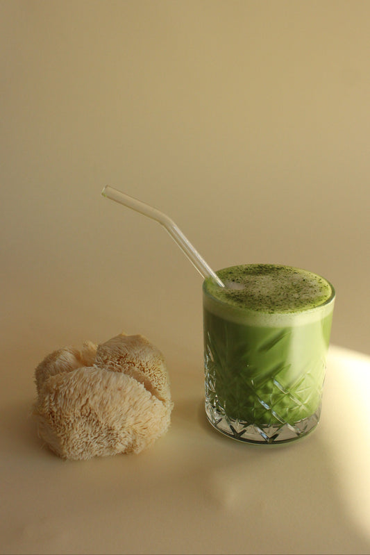 Lion’s Mane Matcha bundle