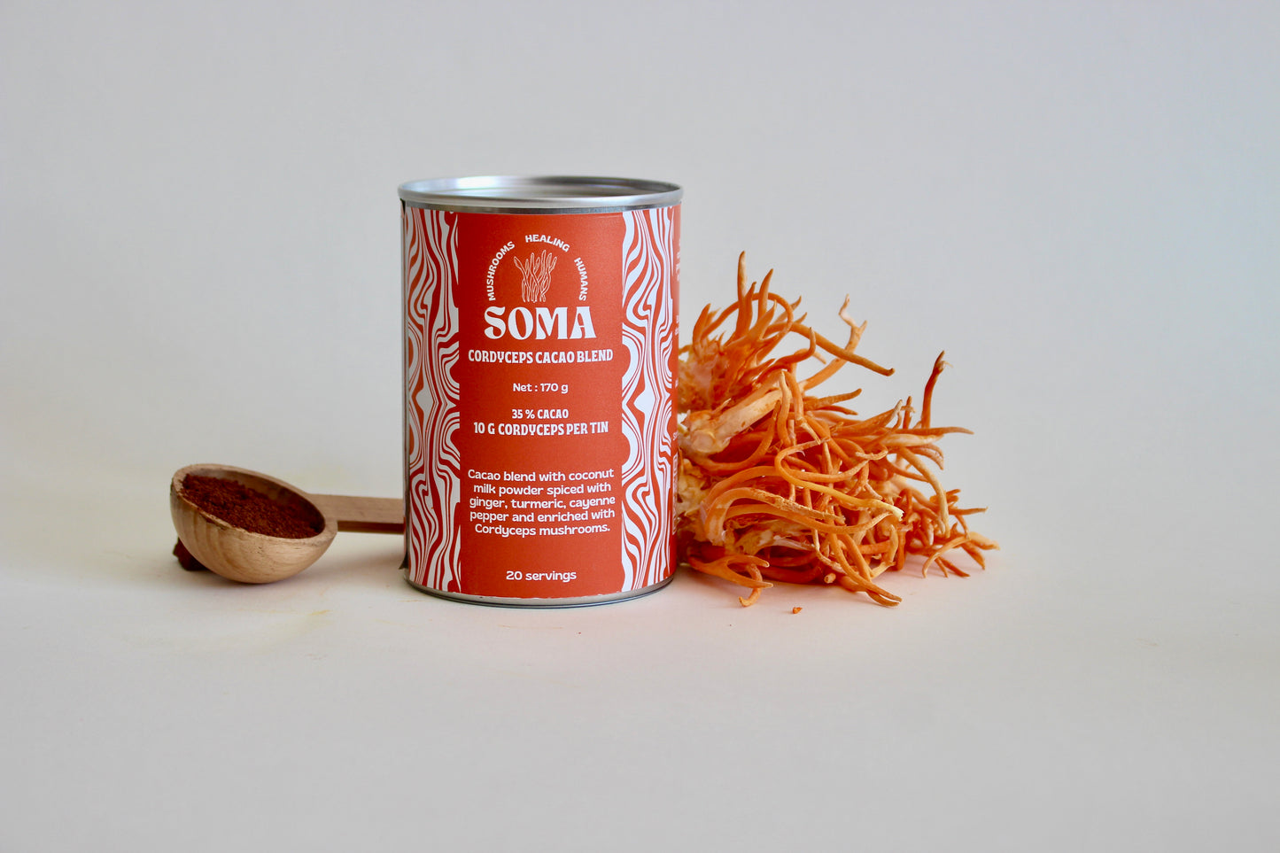 Cordyceps cacao