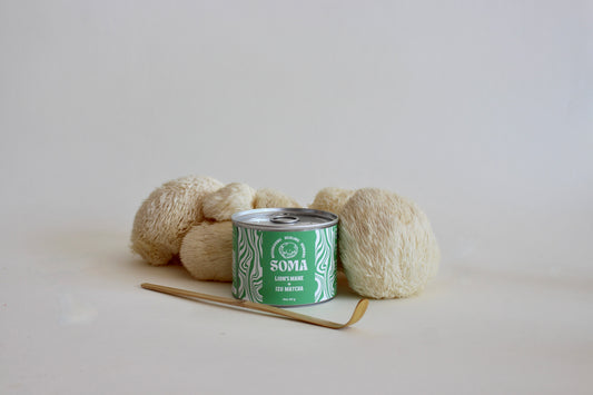 Lion's Mane Matcha