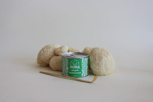 Ceremonial Lion's Mane Matcha
