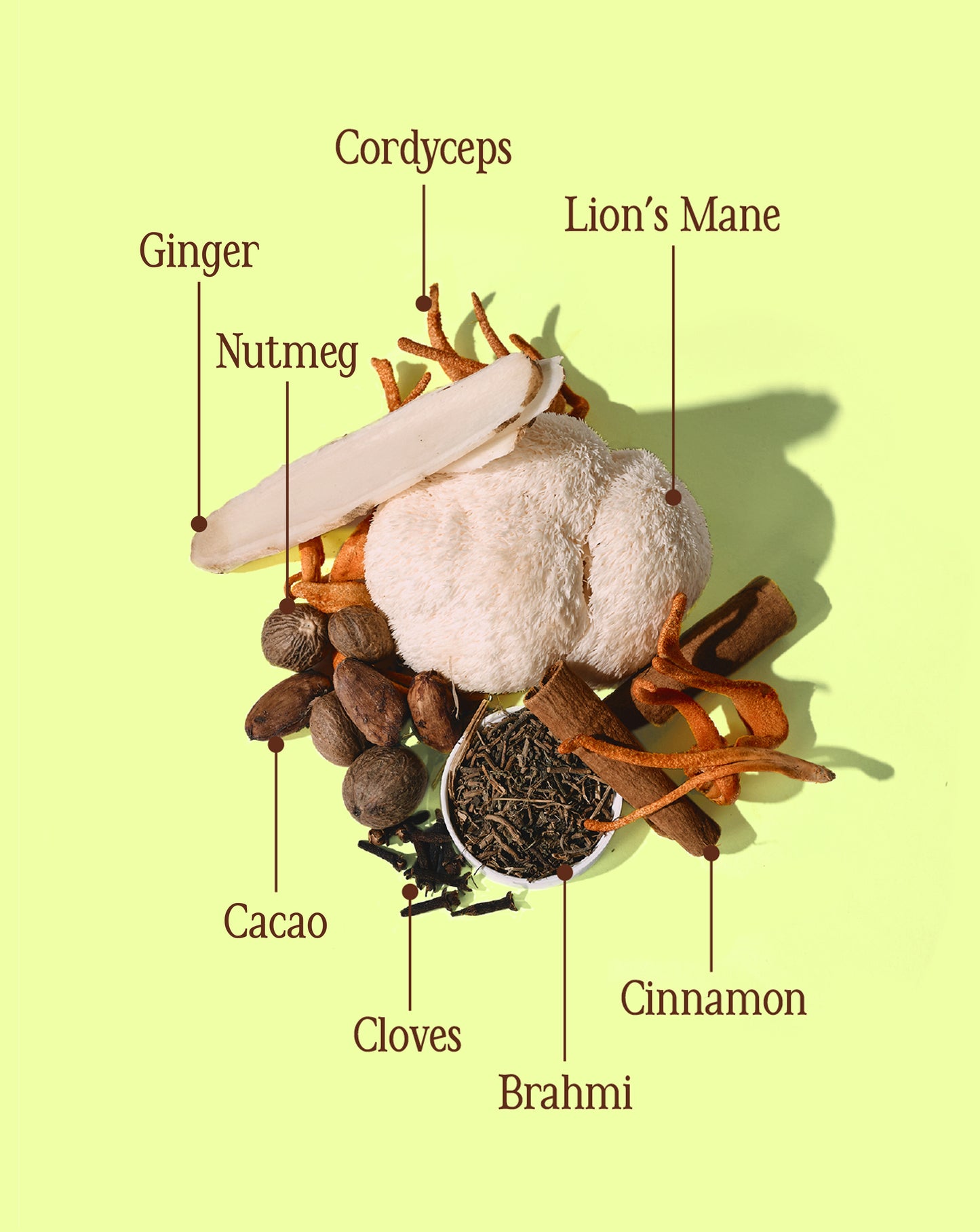 Cacao ✹