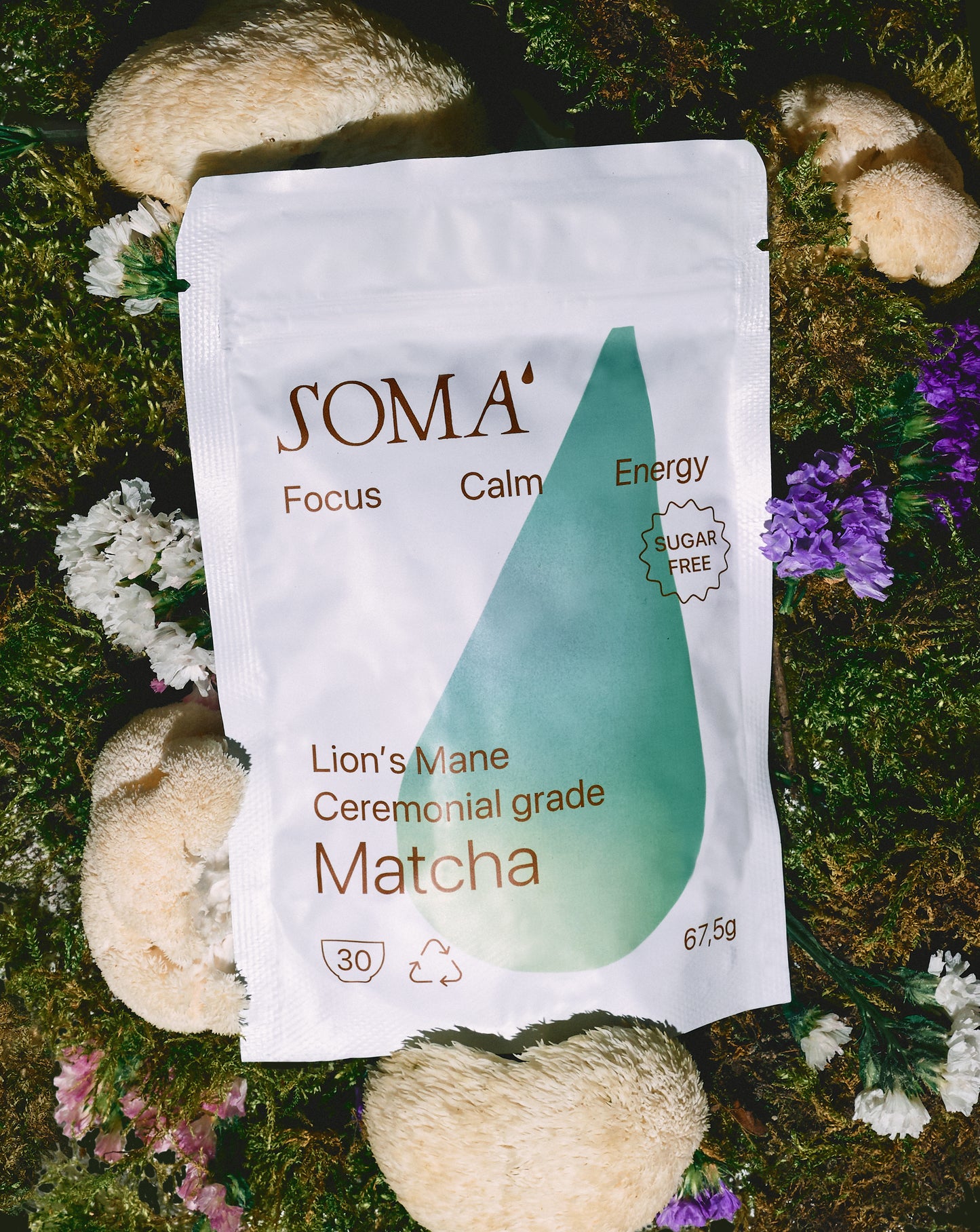 Matcha ✹